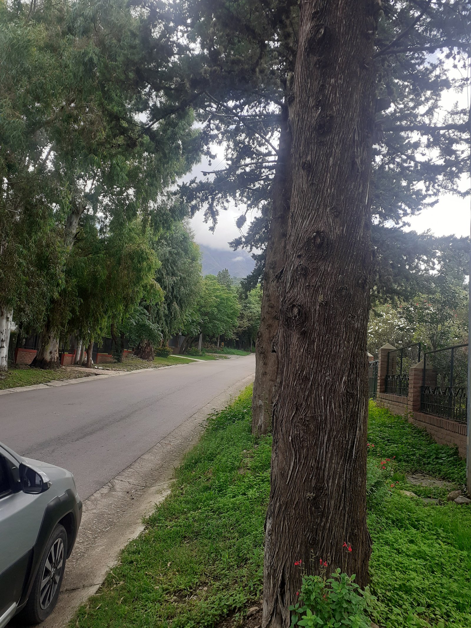 Hermosa propiedad en uno de los lugares mas emblematicos de la Villa de Merlo Rincón del Este
