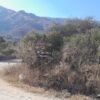 ESPECTACULAR LOTE EN LOS NOGALES 🏞️ - Imagen 8