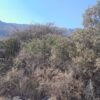 ESPECTACULAR LOTE EN LOS NOGALES 🏞️ - Imagen 9