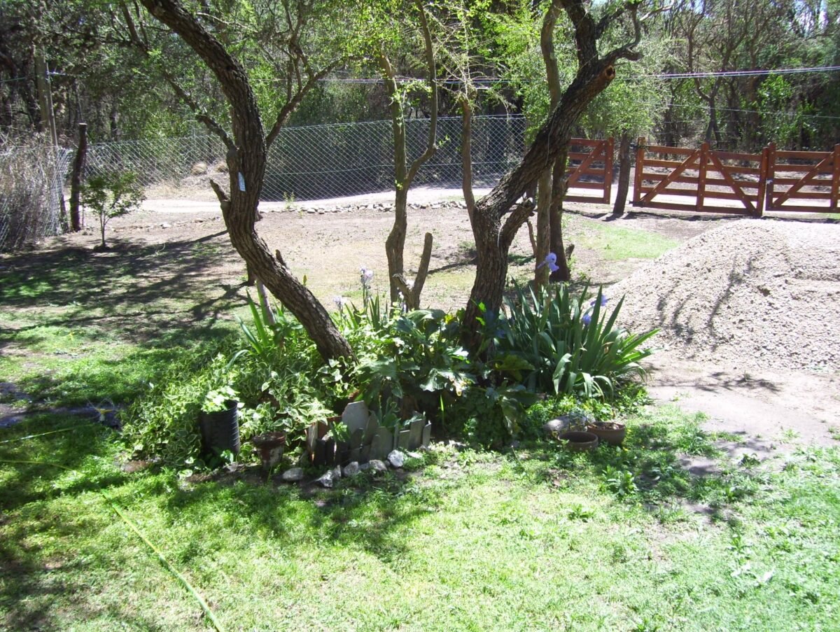 TERRENO EN VENTA CARPINTERIA - Imagen 4