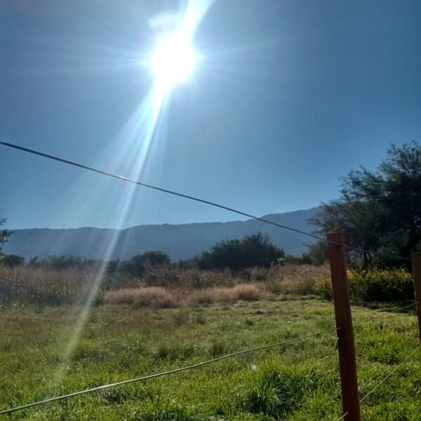 VENTA DE TRES LOTES EN CARPINTERIA