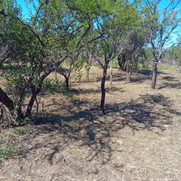 VENTA DE LOTE  EN LOS MOLLES SAN LUIS 