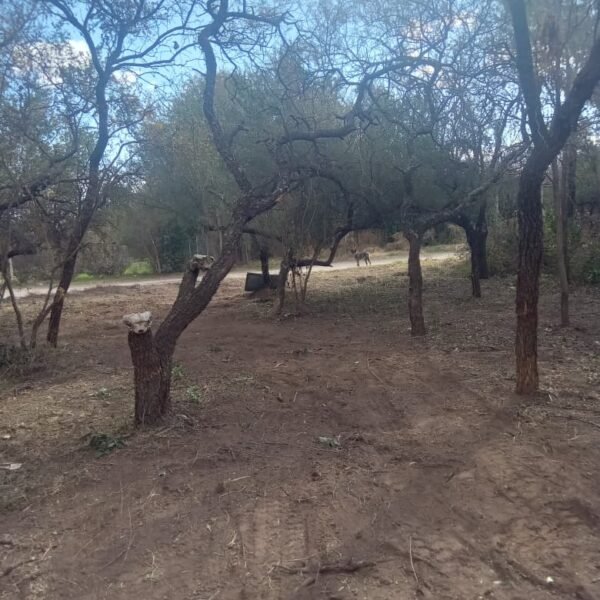 ¡VENTA DE LOTE EN MERLO SAN LUIS! LA SEBASTIANA