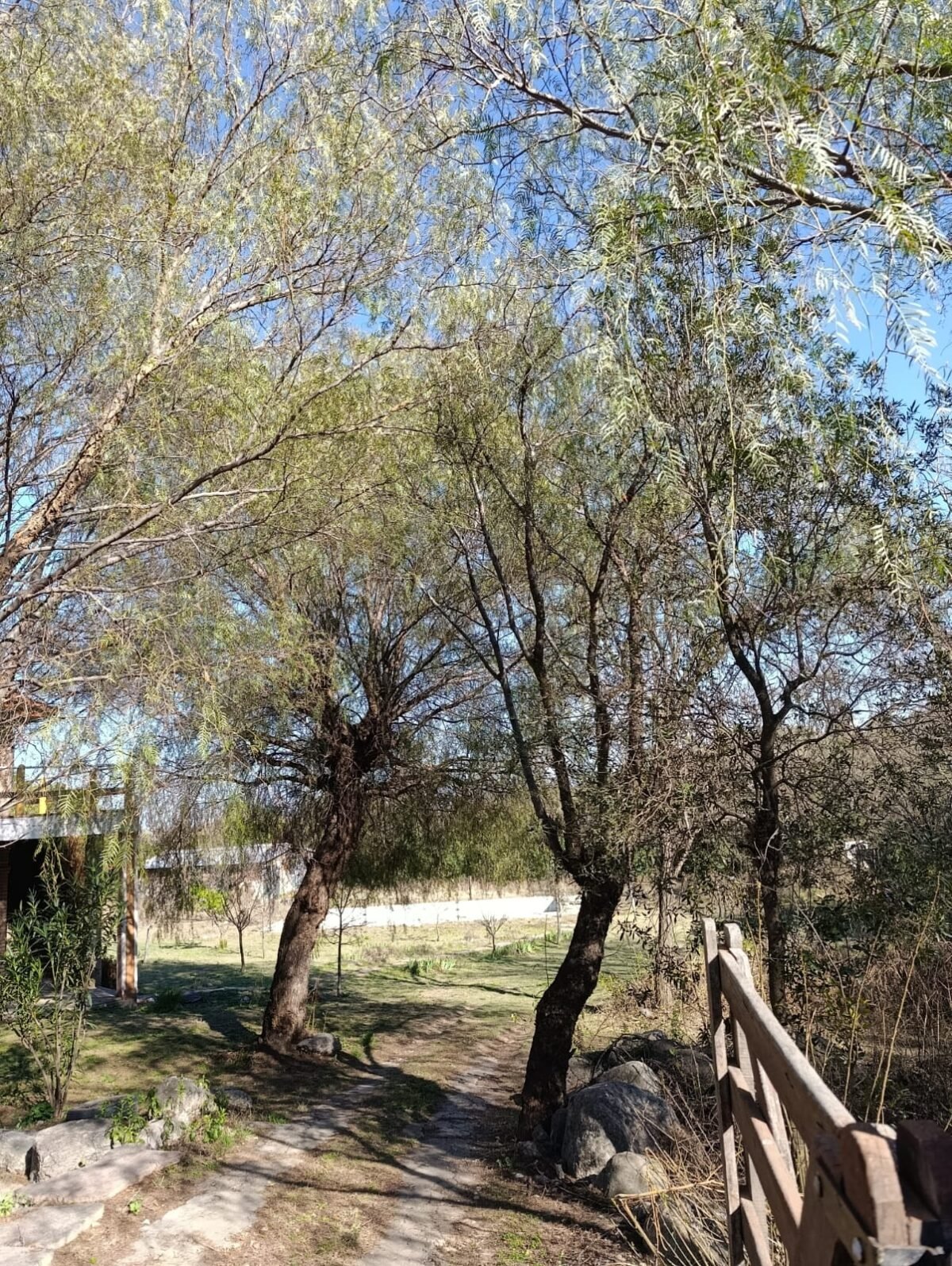 OPORTUNIDAD/ INVERSION PROPIEDADES + UBICACION+ SUPERFICIE /MERLO SAN LUIS - Imagen 33