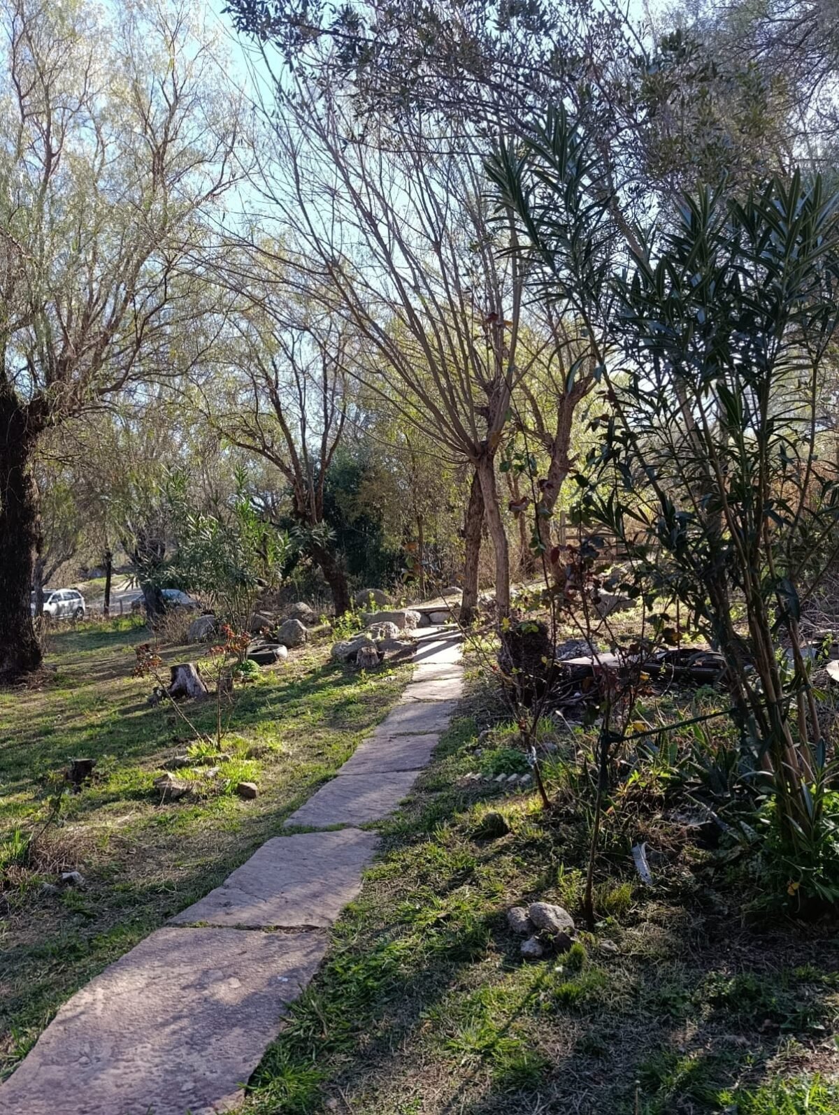 OPORTUNIDAD/ INVERSION PROPIEDADES + UBICACION+ SUPERFICIE /MERLO SAN LUIS - Imagen 34