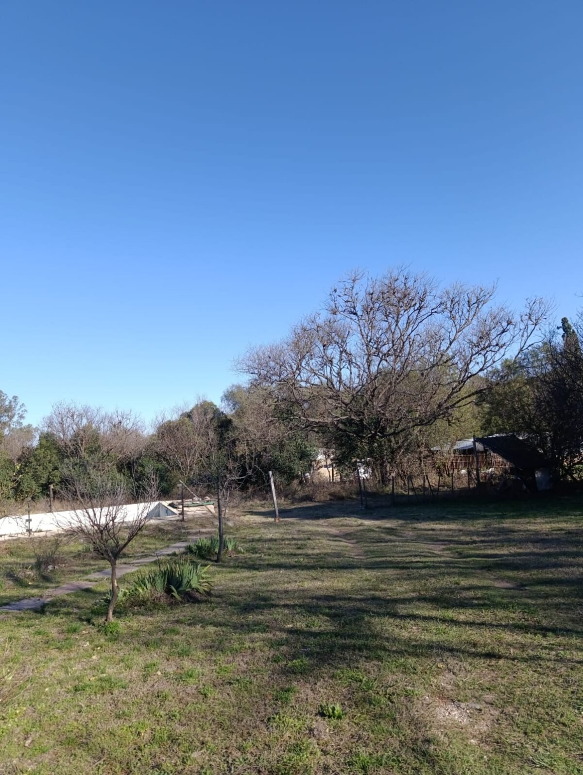 OPORTUNIDAD/ INVERSION PROPIEDADES + UBICACION+ SUPERFICIE /MERLO SAN LUIS - Imagen 37