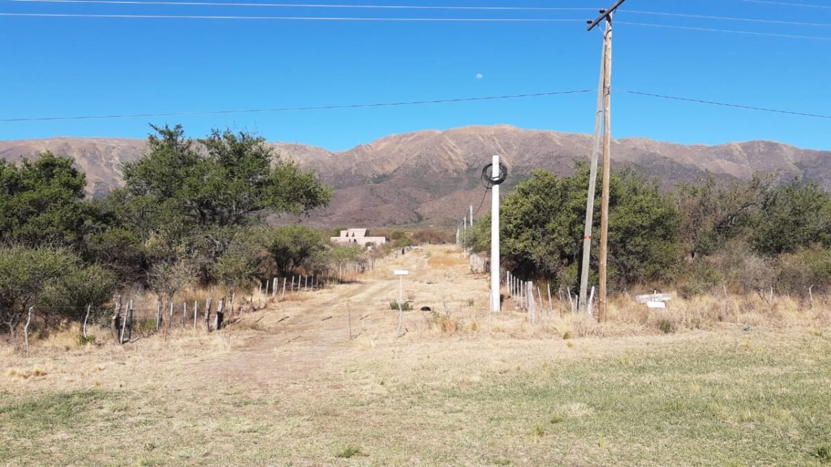 VENTA DE TERRENO EN CORTADERAS CON AMPLIA VISTA A LAS SIERRAS - Imagen 2