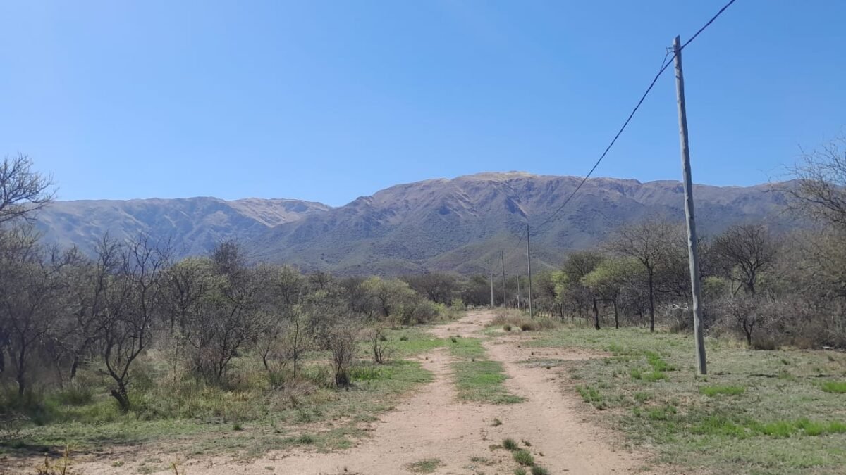 VENTA DE TERRENO EN CORTADERAS CON AMPLIA VISTA A LAS SIERRAS - Imagen 8