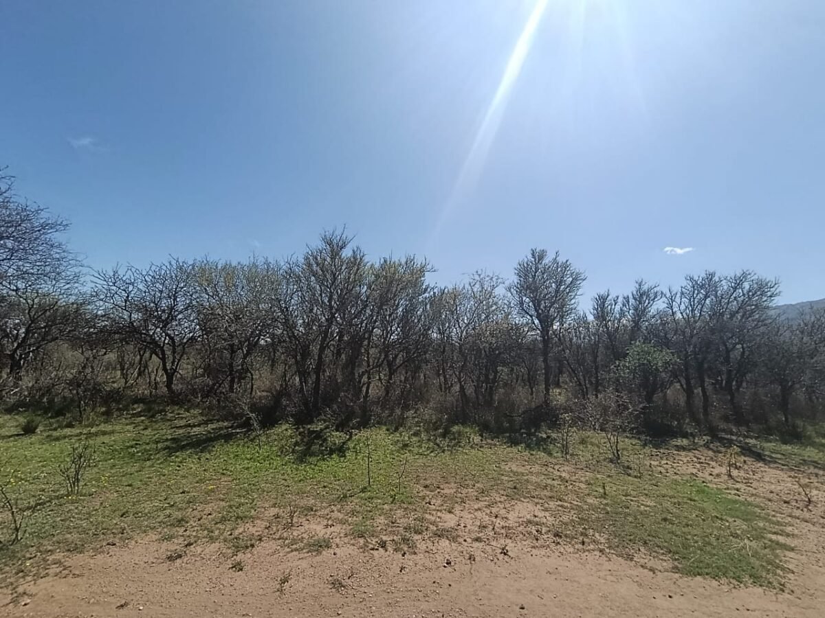 VENTA DE TERRENO EN CORTADERAS CON AMPLIA VISTA A LAS SIERRAS - Imagen 11