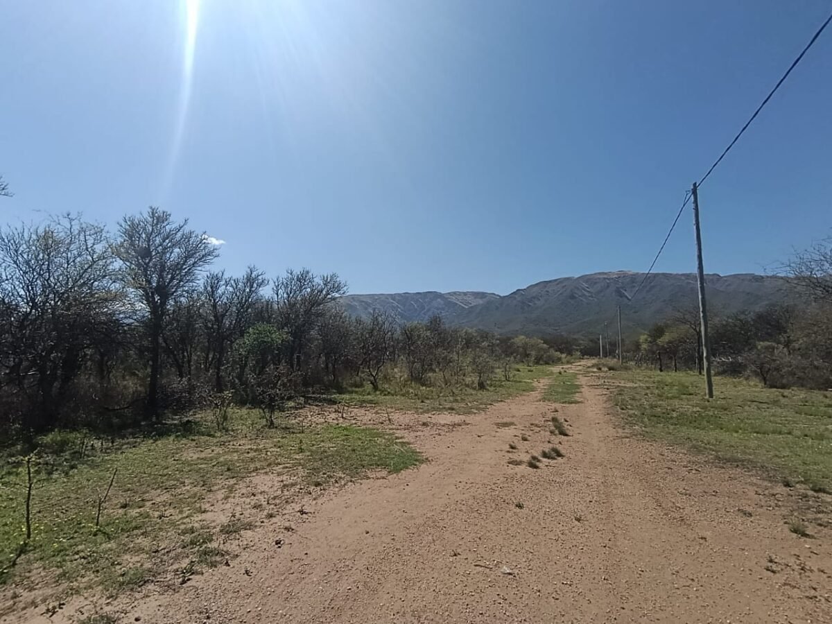 VENTA DE TERRENO EN CORTADERAS CON AMPLIA VISTA A LAS SIERRAS - Imagen 13