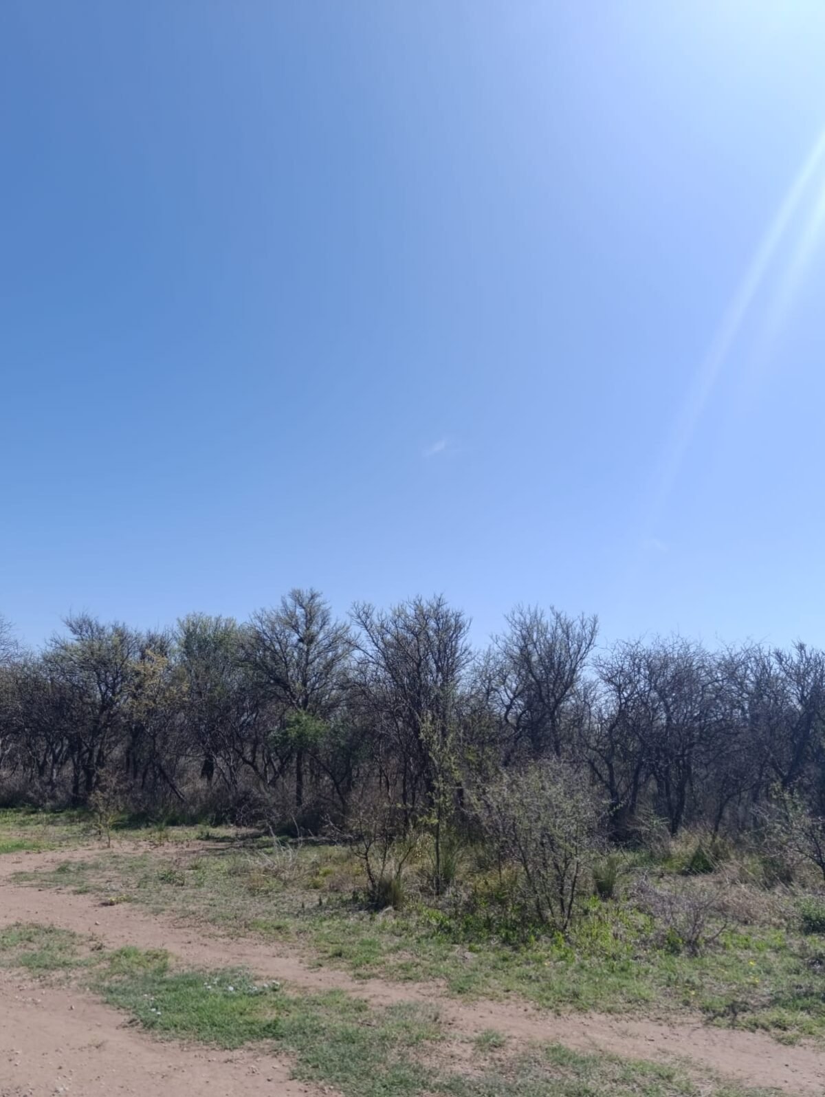 VENTA DE TERRENO EN CORTADERAS CON AMPLIA VISTA A LAS SIERRAS - Imagen 16