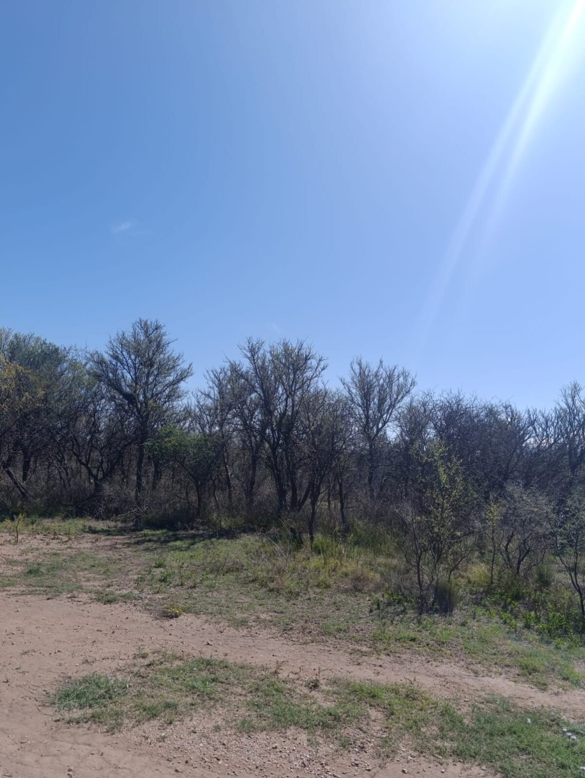 VENTA DE TERRENO EN CORTADERAS CON AMPLIA VISTA A LAS SIERRAS - Imagen 17
