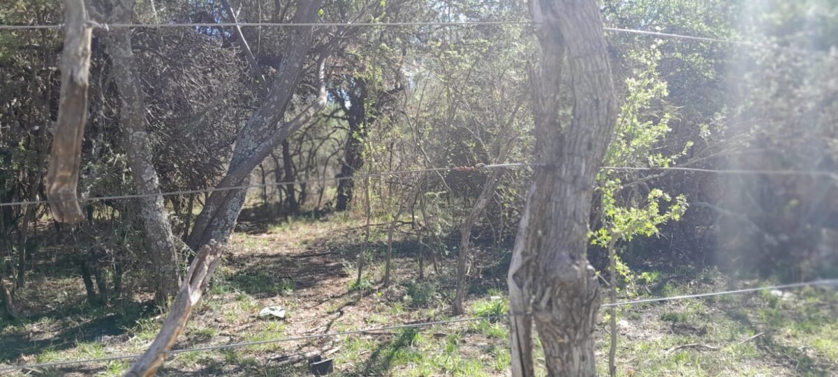 TERRENO EN VENTA MERLO SAN LUIS 37.000 METROS! - Imagen 7
