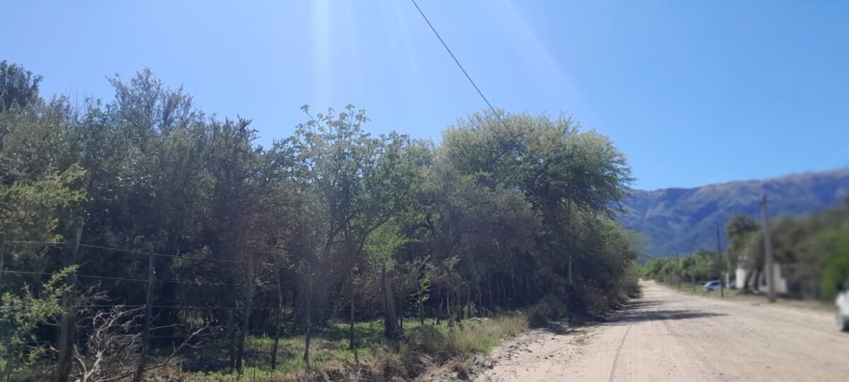 TERRENO EN VENTA MERLO SAN LUIS 37.000 METROS! - Imagen 9