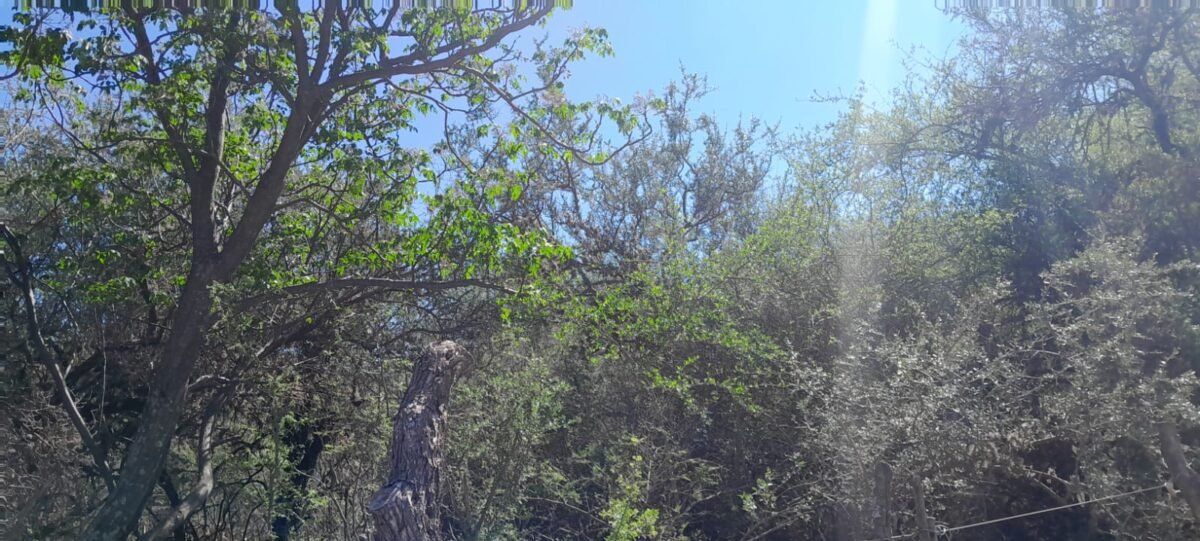 TERRENO EN VENTA MERLO SAN LUIS 37.000 METROS! - Imagen 4