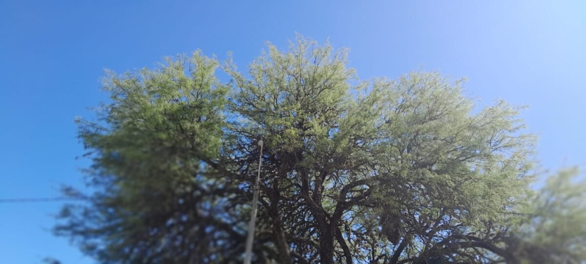TERRENO EN VENTA MERLO SAN LUIS 37.000 METROS! - Imagen 10
