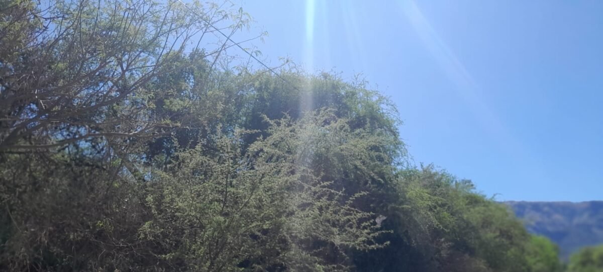 TERRENO EN VENTA MERLO SAN LUIS 37.000 METROS! - Imagen 11