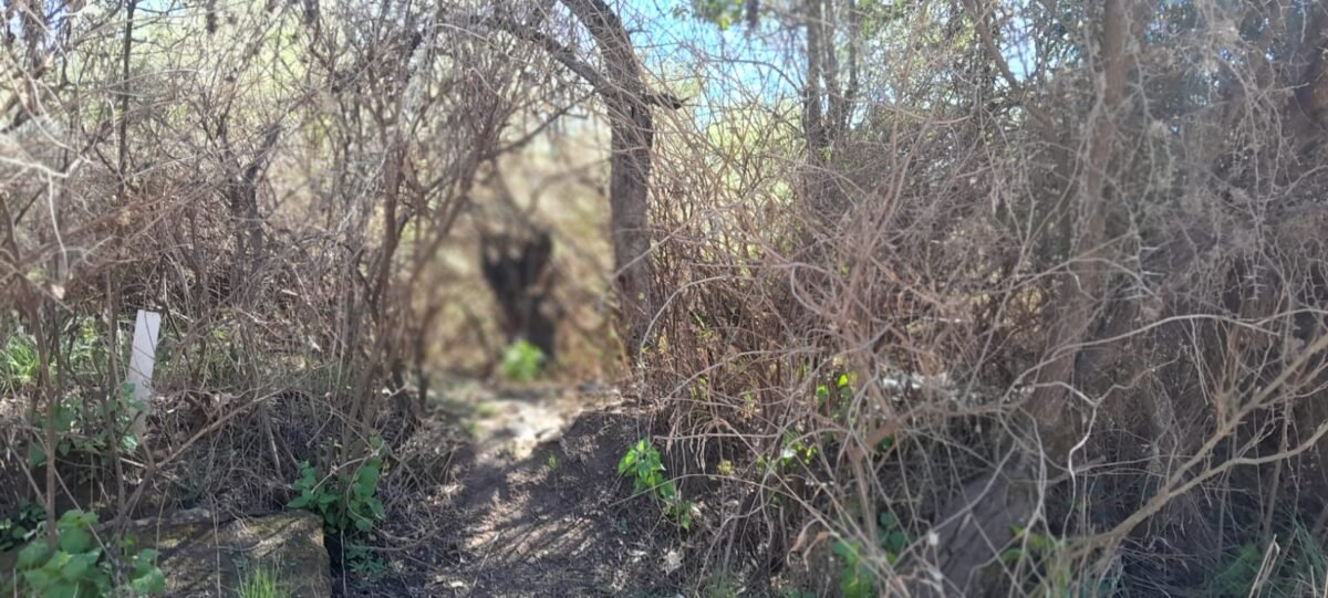TERRENO EN VENTA MERLO SAN LUIS 37.000 METROS! - Imagen 15