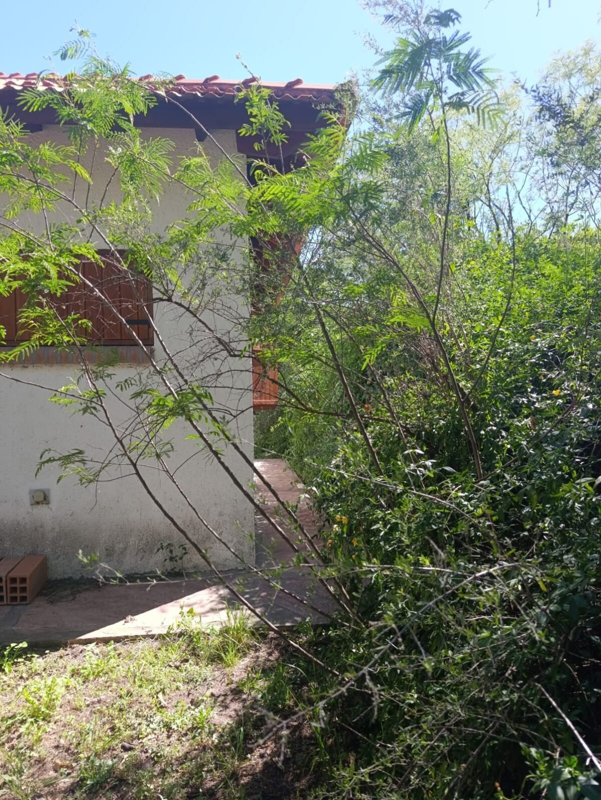 VENTA DE HERMOSA PROPIEDAD EN CARPINTERIA - Imagen 32