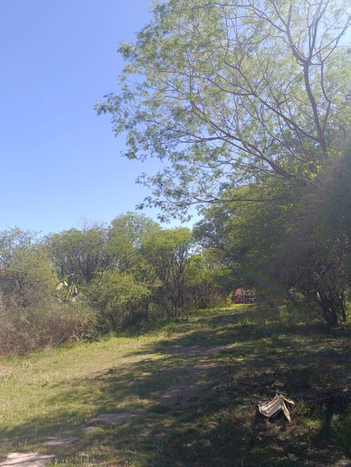 VENTA DE HERMOSA PROPIEDAD EN CARPINTERIA - Imagen 11