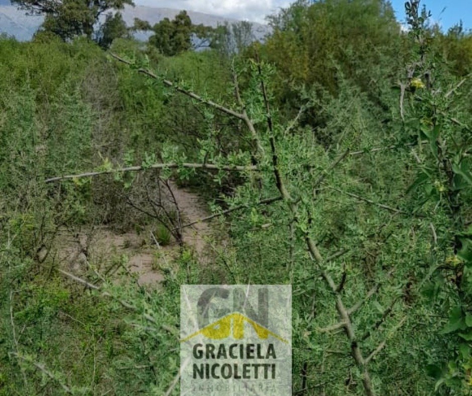 Venta de Terreno en Merlo, San Luis - Imagen 11