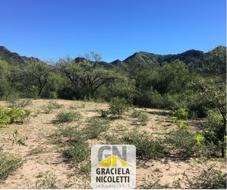 ¡Oportunidad Única en El Zapallar, Quines! - Imagen 2