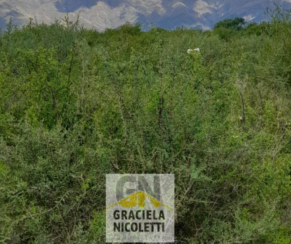 Venta de Terreno en Merlo, San Luis - Imagen 12