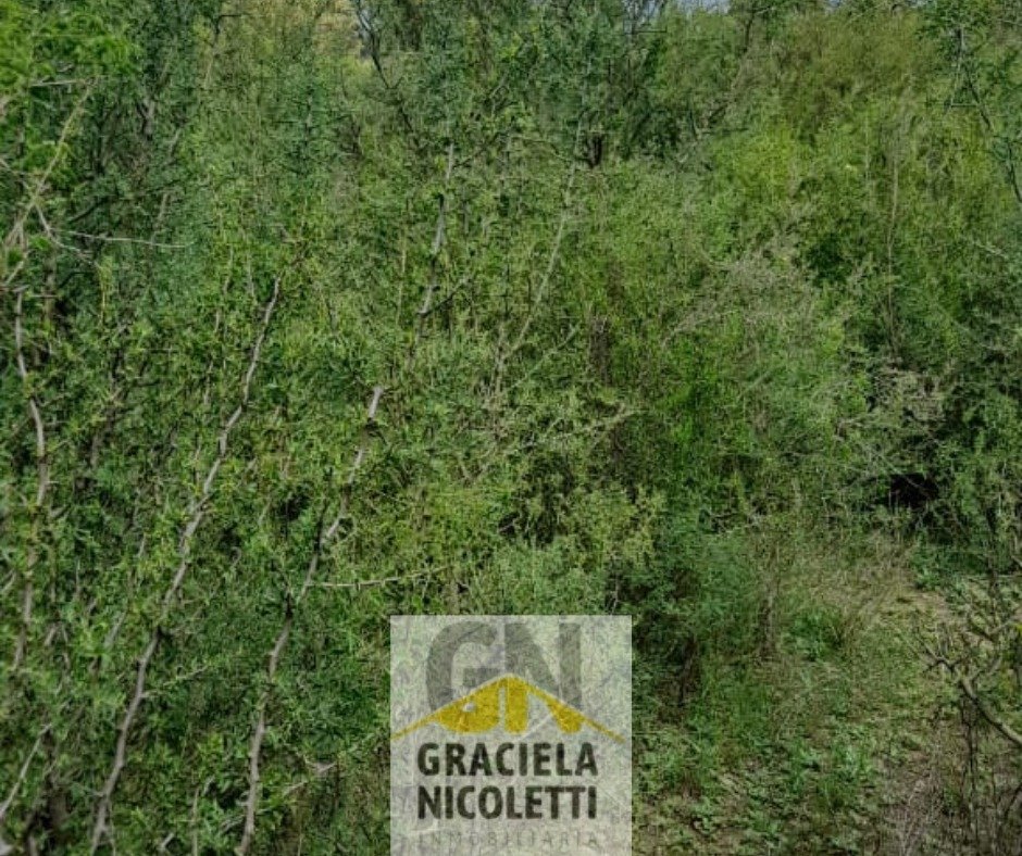 Venta de Terreno en Merlo, San Luis - Imagen 13