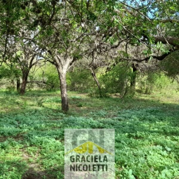 Venta de Terreno en Merlo, San Luis