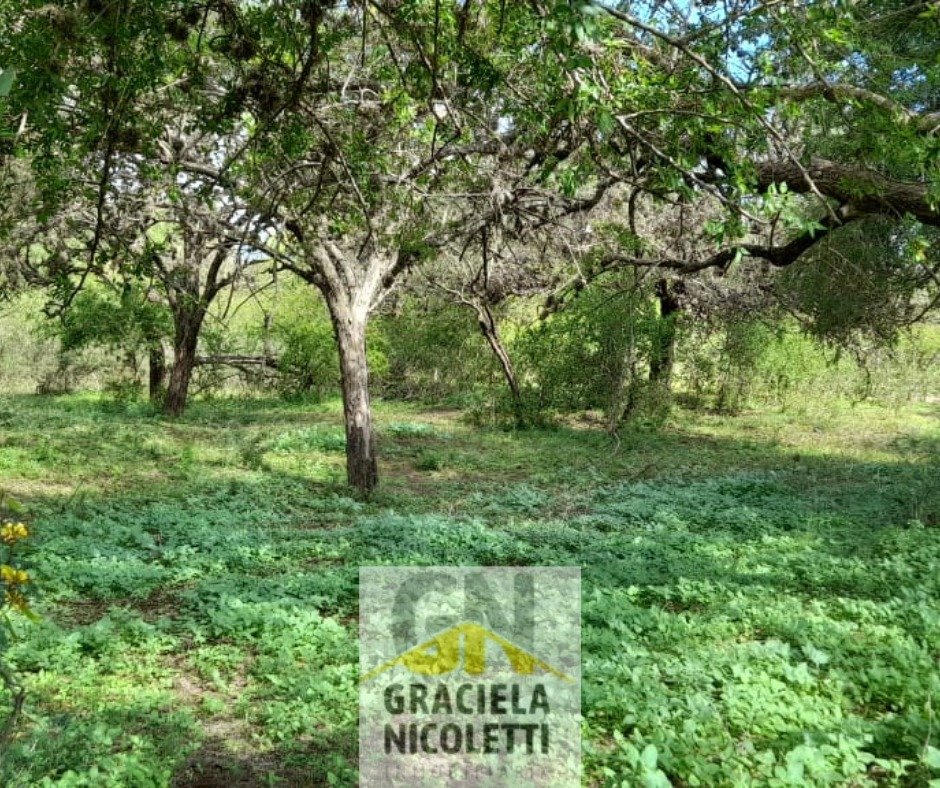 Venta de Terreno en Merlo, San Luis