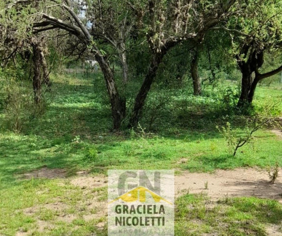 Venta de Terreno en Merlo, San Luis - Imagen 6