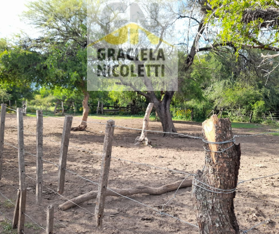 VENTA DE DOS PROPIEDADES EN LAS CHACRAS ( PCIA CÓRDOBA) - Imagen 2