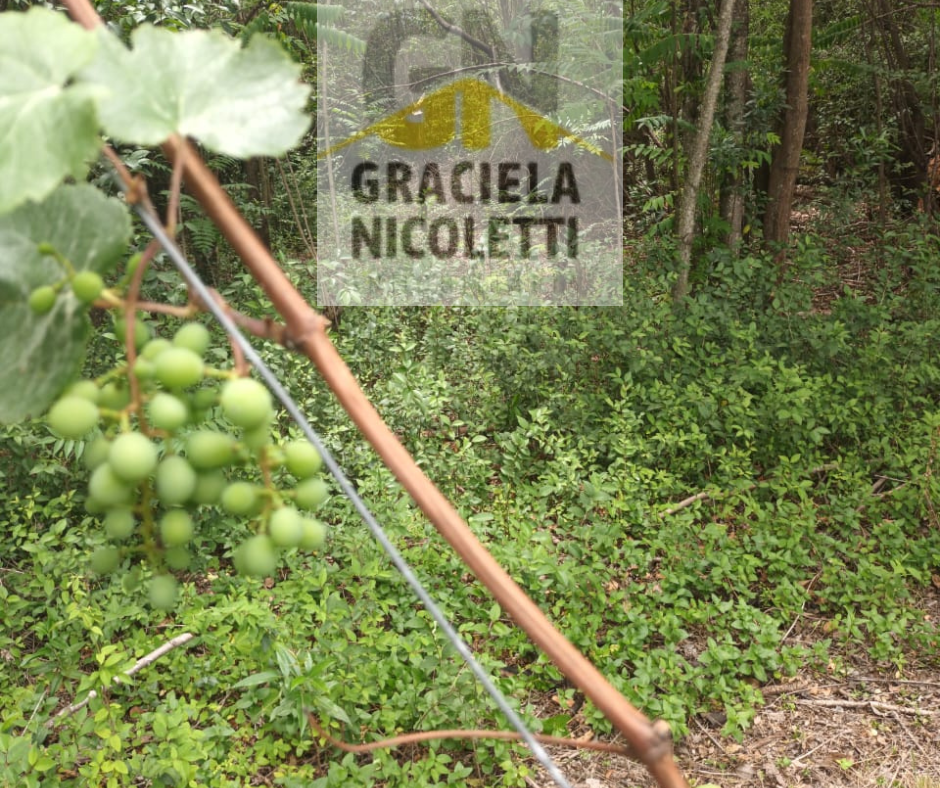 VENTA DE DOS PROPIEDADES EN LAS CHACRAS ( PCIA CÓRDOBA) - Imagen 5