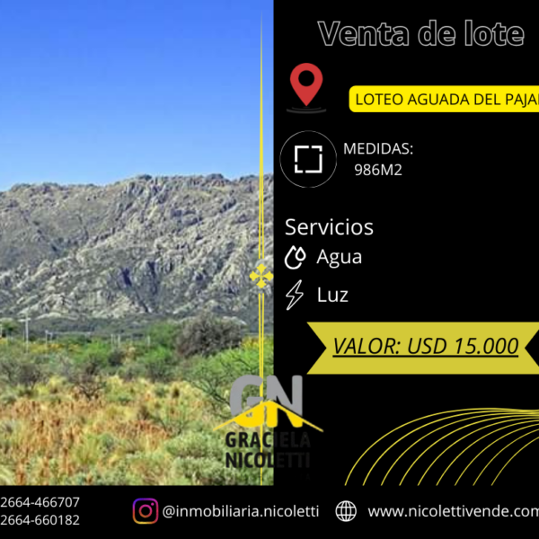 LOTE EN AGUADA DE PAJARO