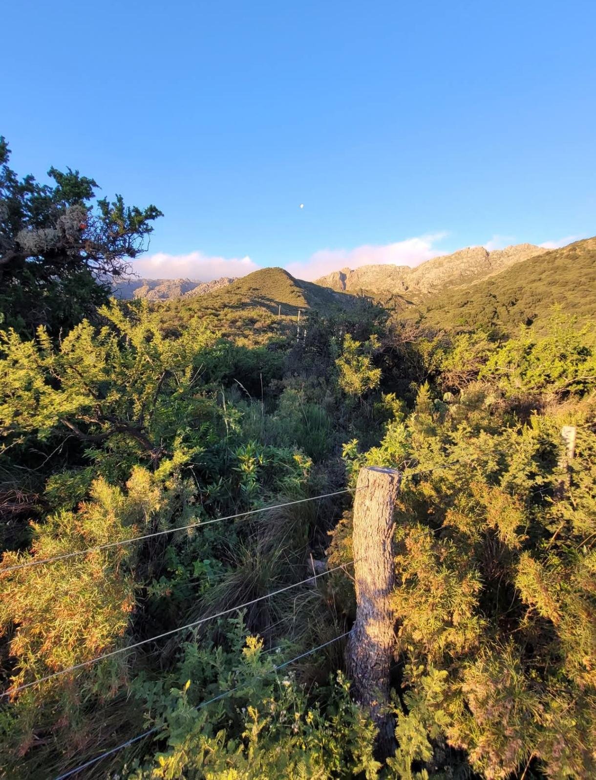 Venta de Terreno en Cortaderas, San Luis – Barrio Cerrado Aguas Blancas - Imagen 3