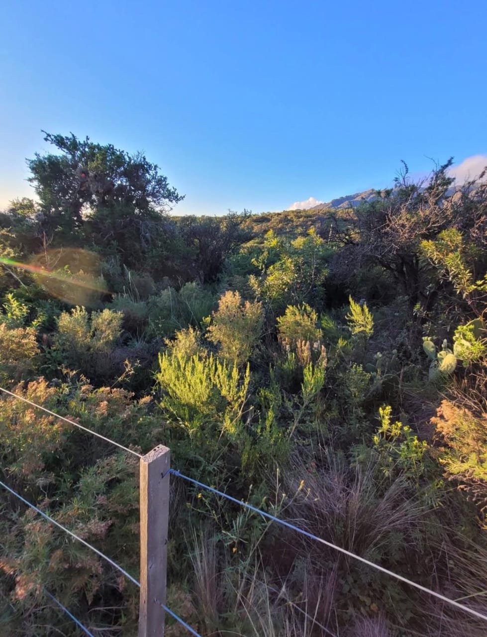 Venta de Terreno en Cortaderas, San Luis – Barrio Cerrado Aguas Blancas - Imagen 4