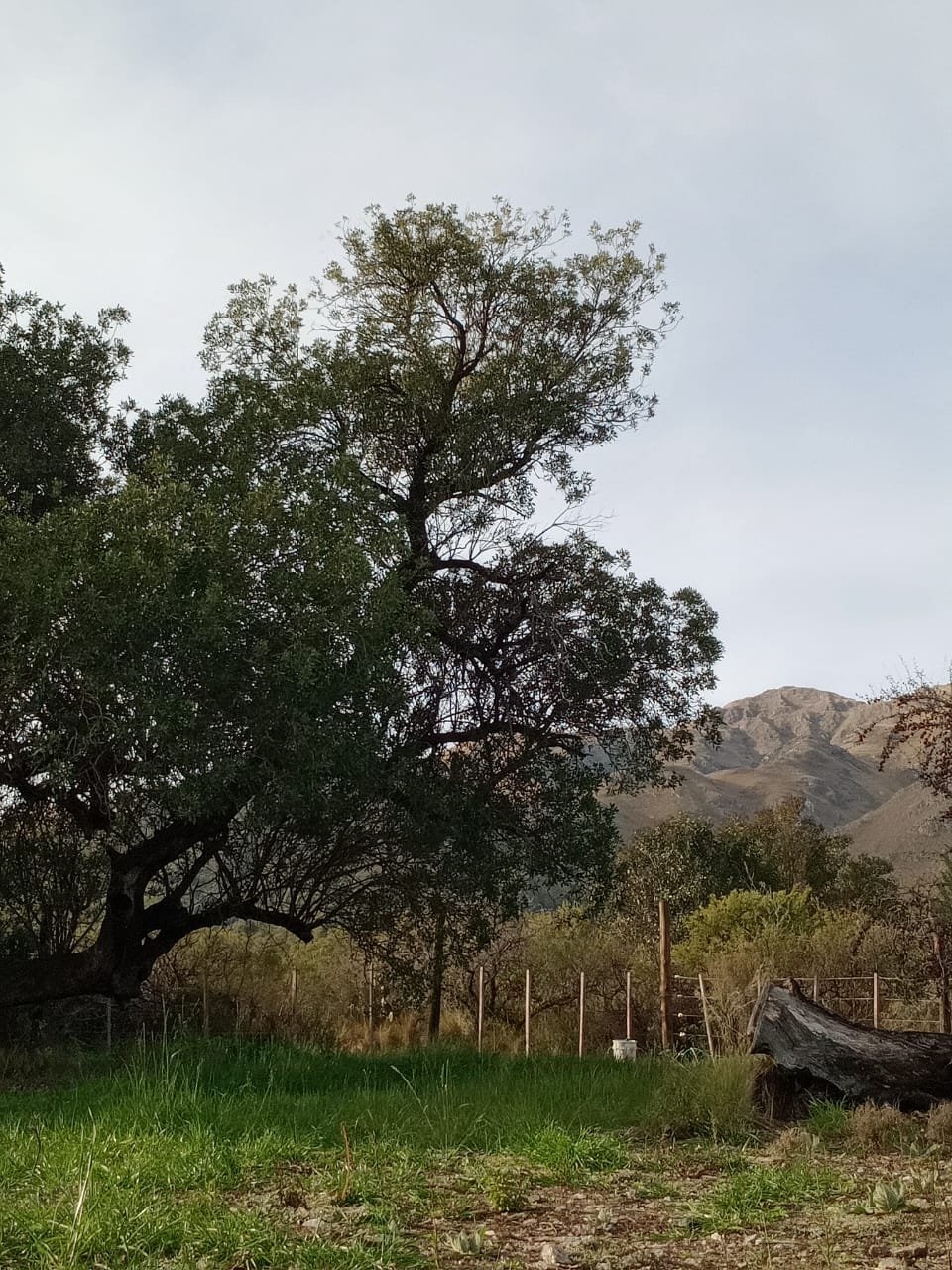 Terreno en Venta – Rincón del Este, Merlo (San Luis) - Imagen 10