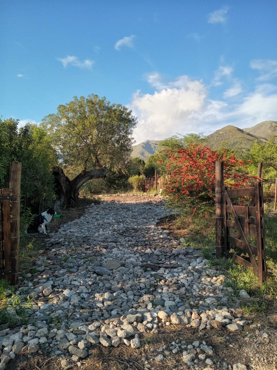Terreno en Venta – Rincón del Este, Merlo (San Luis) - Imagen 4