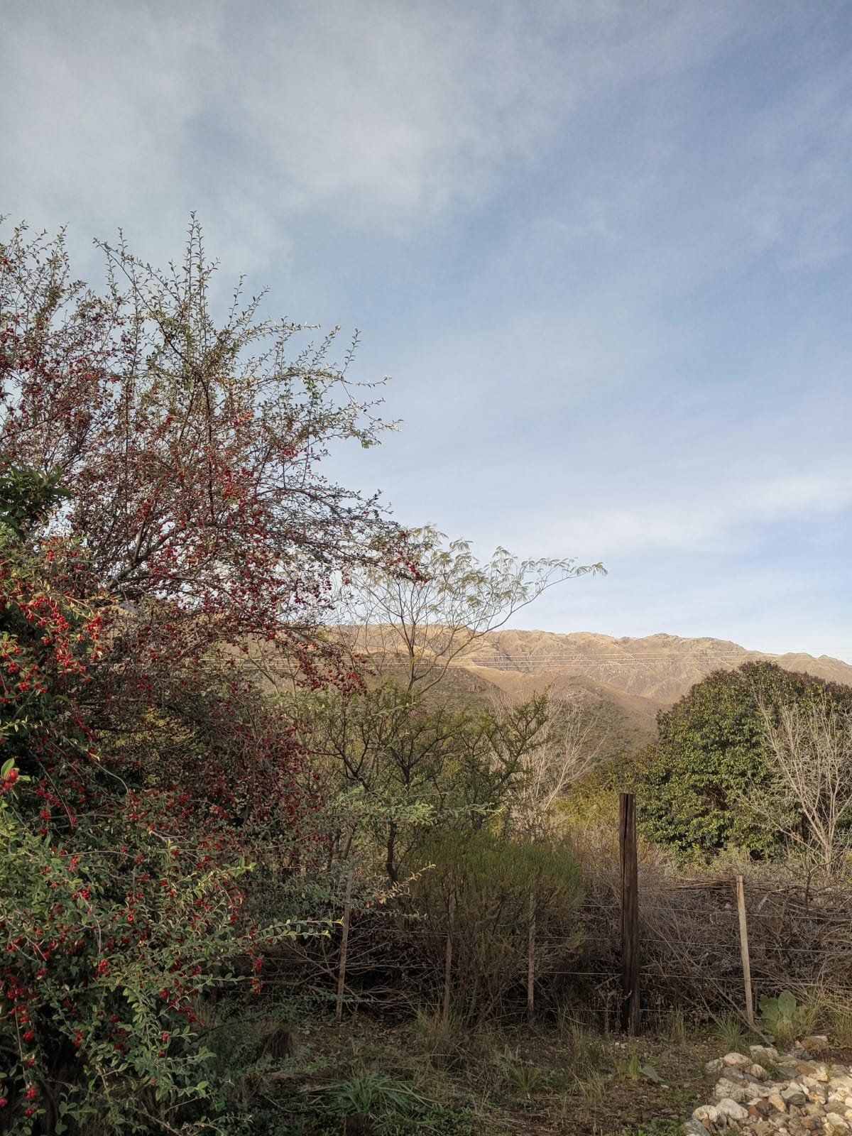 Terreno en Venta – Rincón del Este, Merlo (San Luis) - Imagen 11