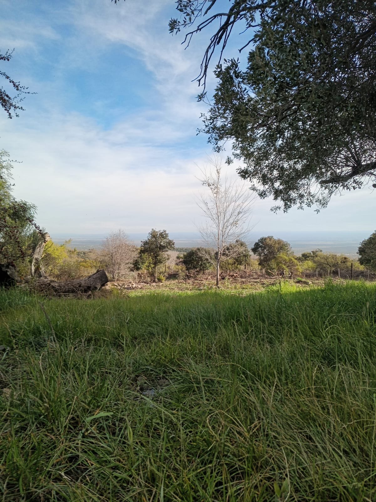 Terreno en Venta – Rincón del Este, Merlo (San Luis) - Imagen 8